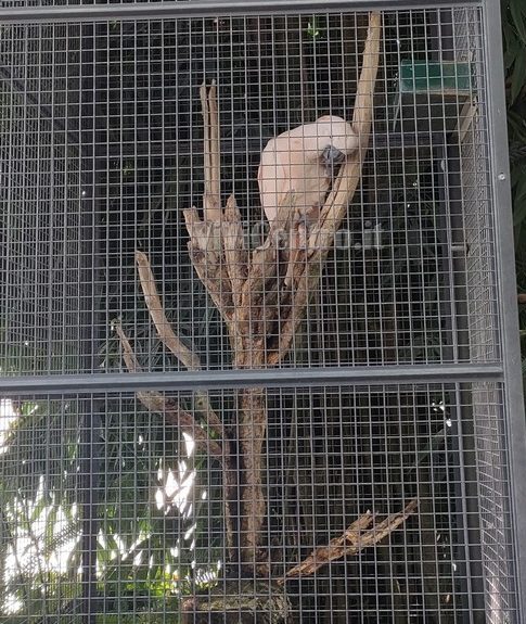 Biosfera Genova (3)