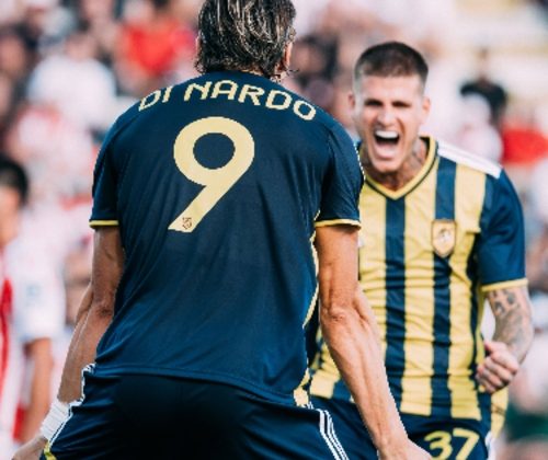 Vicenza Juve Stabia Di Nardo Sibilli Pagelle