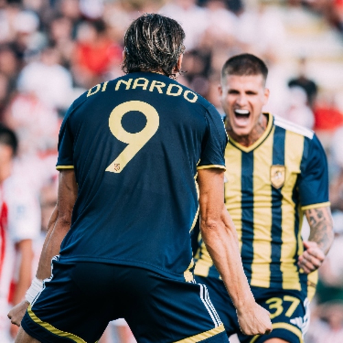 Vicenza Juve Stabia Di Nardo Sibilli Pagelle