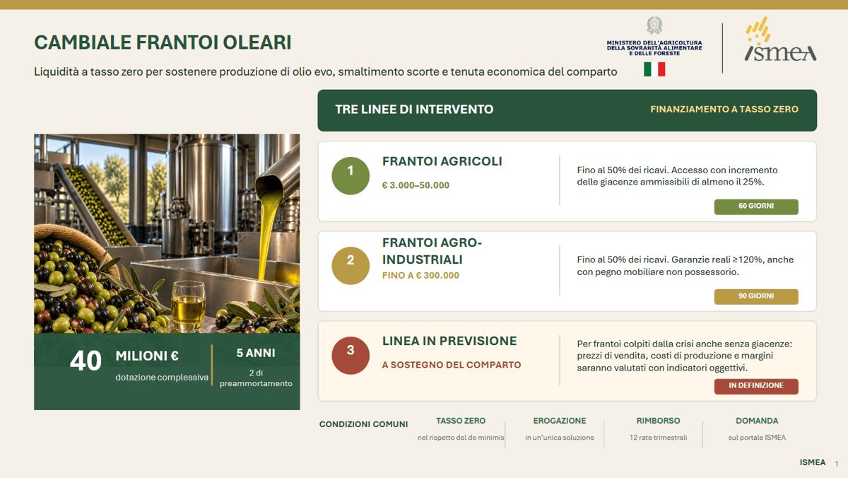 Agricoltura, Ismea: 40 mln per frantoi con ‘Cambiale Frantoi Oleari’