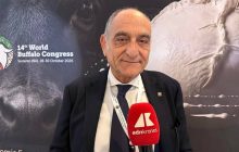 Campanile (Buffalo Federation), “Robotica e genomica cambieranno l’allevamento”