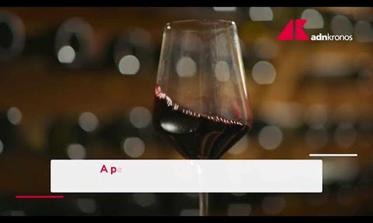 Il vino italiano rilancia la sfida negli Stati Uniti – Video