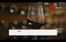 Il vino italiano rilancia la sfida negli Stati Uniti – Video