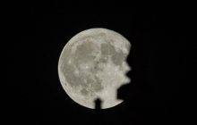 La Superluna, tre sciami di meteoriti e la parata dei pianeti: tutti gli eventi celesti di novembre 2026