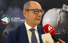 Raimondo (Tutela mozzarella bufala campana Dop): “Filiera 1,2-1,3 mld, quasi una Fiat”