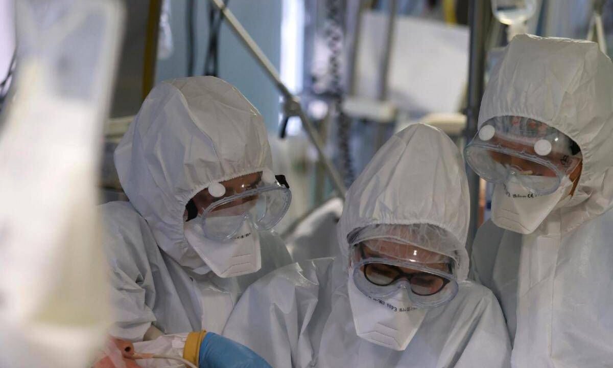 Virus Shamonda, “no casi umani in Italia, attenzione rafforzata”: la circolare del ministero dell a Salute