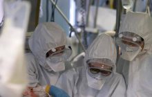 Virus Shamonda, “no casi umani in Italia, attenzione rafforzata”: la circolare del ministero dell a Salute