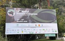 ‘World Buffalo Congress’ road map per futuro con meno burocrazia e più innovazione